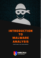 Intro To Malware Analysis - codelivly.pdf